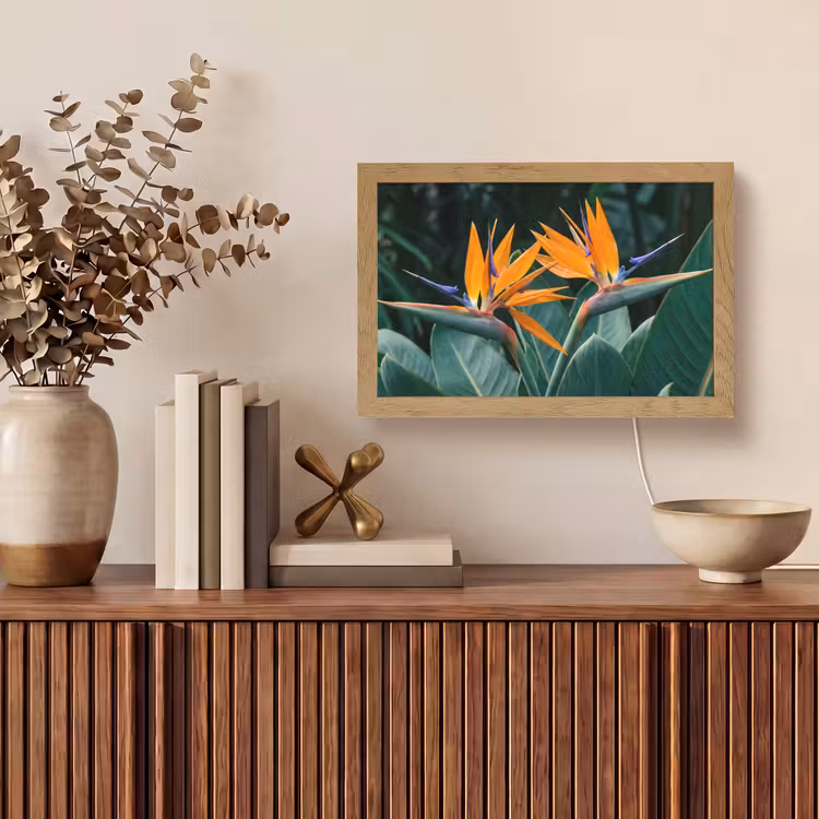 Paradijsvogel - Bloem - Exotisch Light Box met kabel (Tafellamp) klein -sfeer2