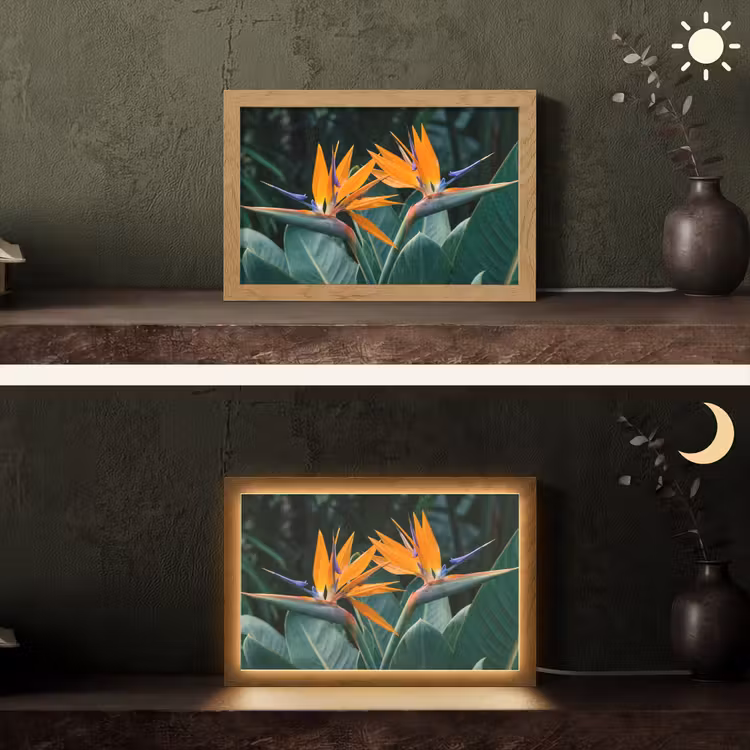 Paradijsvogel - Bloem - Exotisch Light Box met kabel (Tafellamp) klein -sfeer3