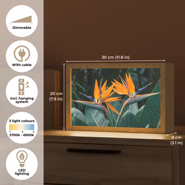 Paradijsvogel - Bloem - Exotisch Light Box met kabel (Tafellamp) klein -USP_EN