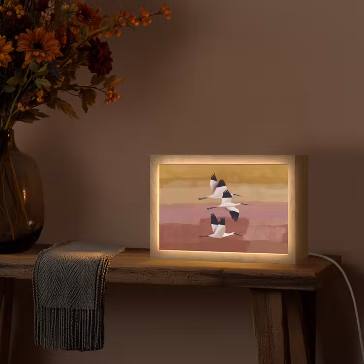 Vogels - Snavel - Abstract Light Box met kabel (Tafellamp) klein -sfeer4