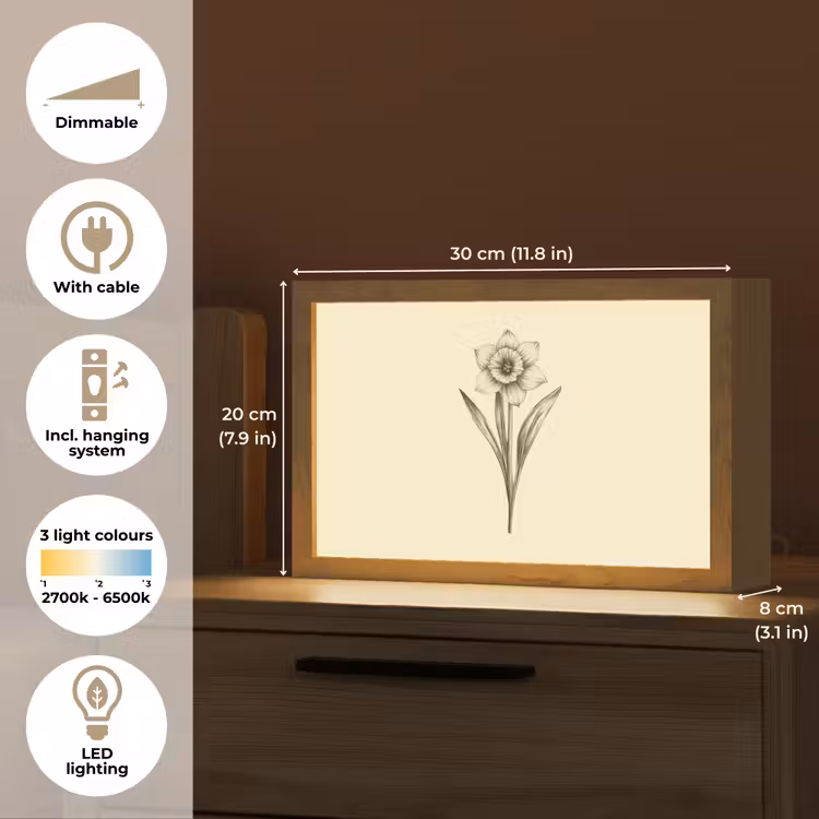 Zwart - Narcis - Illustratie Light Box met kabel (Tafellamp) klein -USP_EN