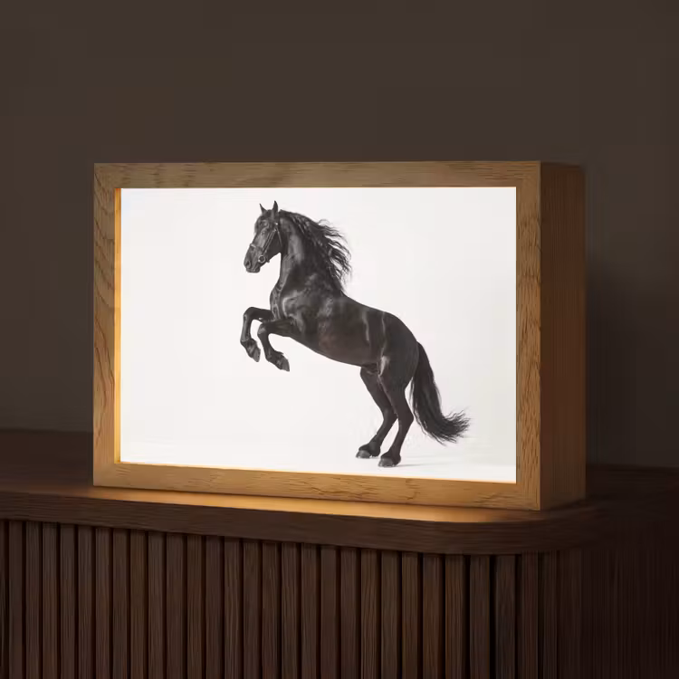 Zwart - Paard - Portret Light Box met kabel (Tafellamp) klein -z3d_website