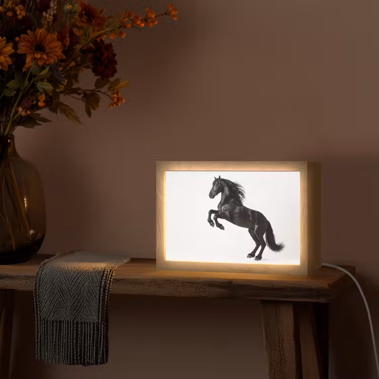 Zwart - Paard - Portret Light Box met kabel (Tafellamp) klein -sfeer4