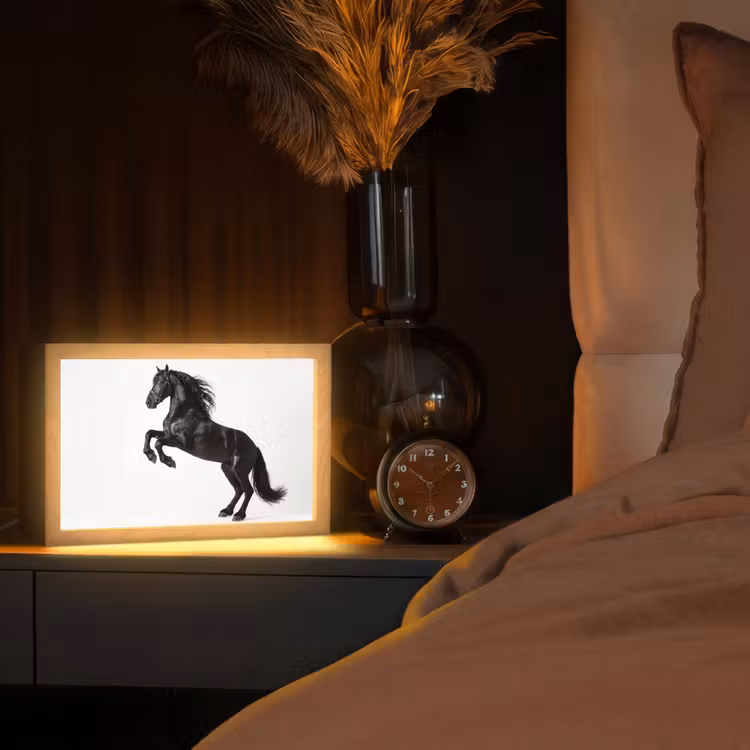 Zwart - Paard - Portret Light Box met kabel (Tafellamp) klein -sfeer1