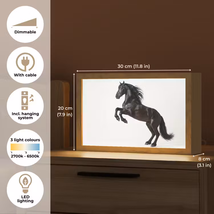 Zwart - Paard - Portret Light Box met kabel (Tafellamp) klein -USP_EN