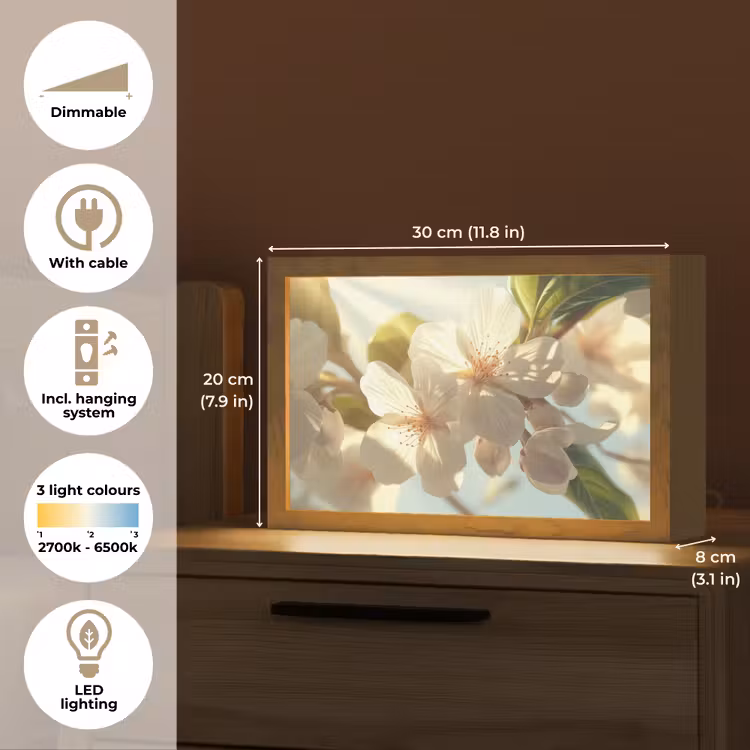 Bloesems - Wit - Zonnestralen - Bloemblaadjes Light Box met kabel (Tafellamp) klein -USP_EN