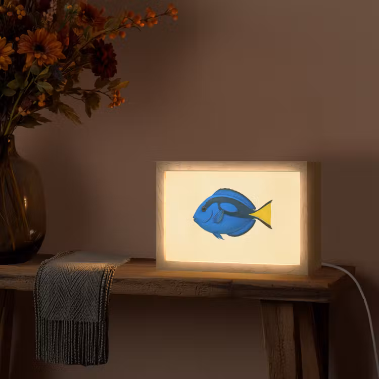 Blauw - Dory - Vis - Staartvin Light Box met kabel (Tafellamp) klein -sfeer4