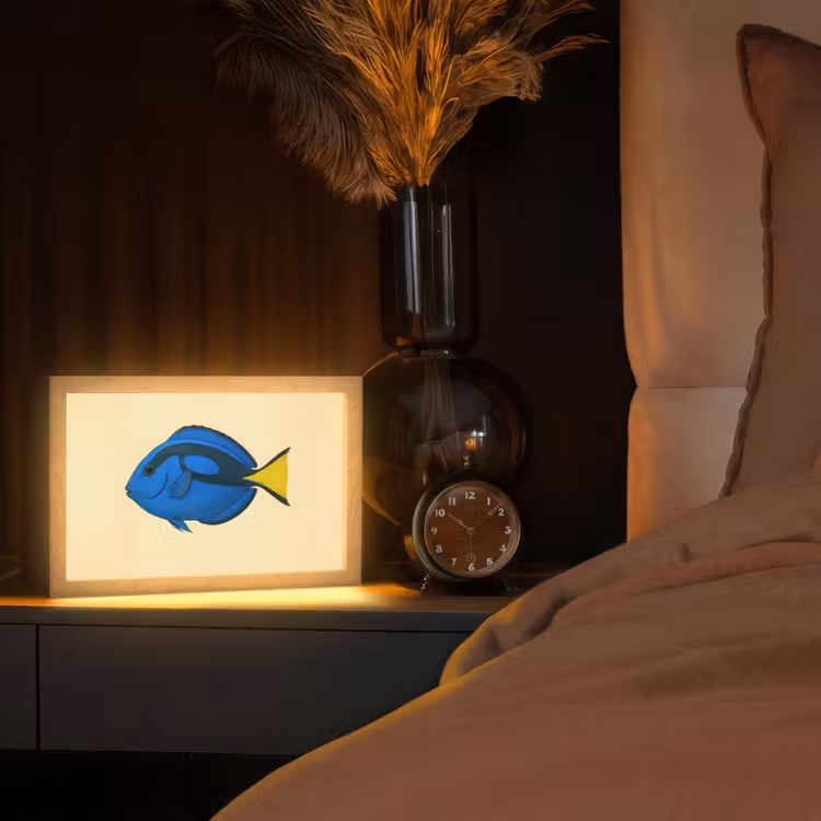 Blauw - Dory - Vis - Staartvin Light Box met kabel (Tafellamp) klein -sfeer1