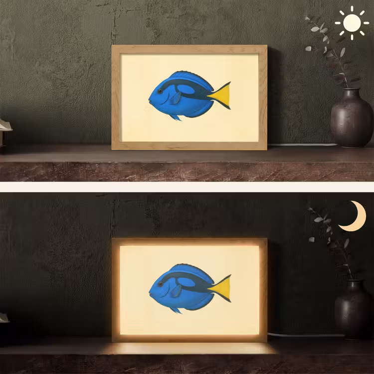 Blauw - Dory - Vis - Staartvin Light Box met kabel (Tafellamp) klein -sfeer3