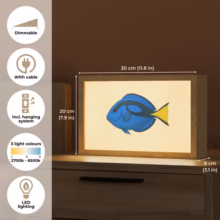 Blauw - Dory - Vis - Staartvin Light Box met kabel (Tafellamp) klein -USP_EN