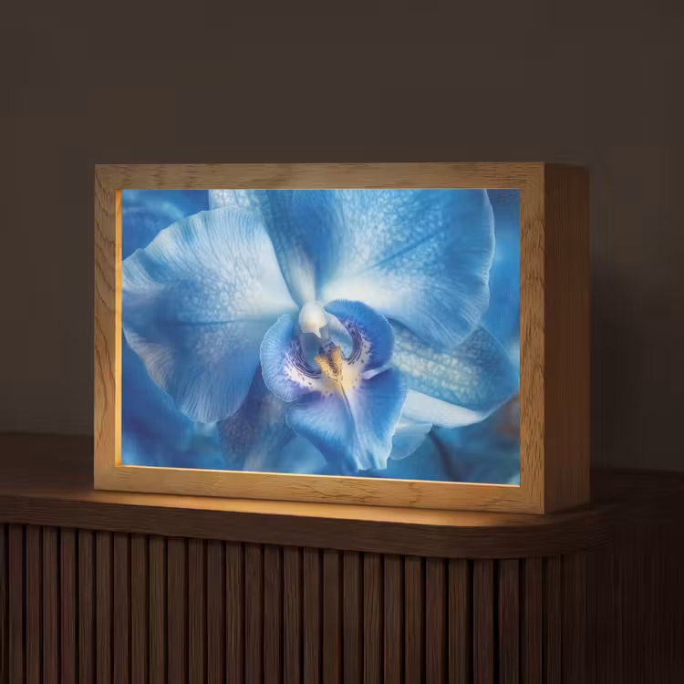 Blauw - Orchidee - Elegeant Light Box met kabel (Tafellamp) klein -z3d_website