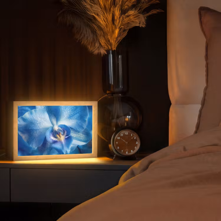 Blauw - Orchidee - Elegeant Light Box met kabel (Tafellamp) klein -sfeer1