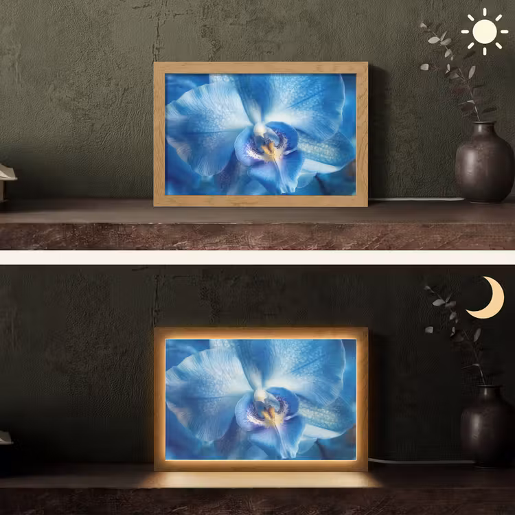 Blauw - Orchidee - Elegeant Light Box met kabel (Tafellamp) klein -sfeer3