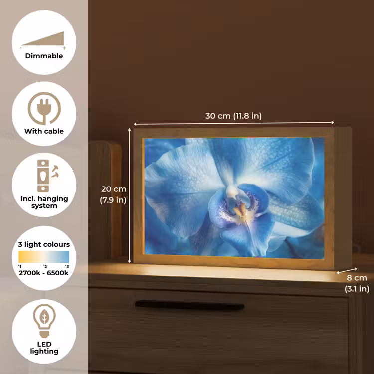 Blauw - Orchidee - Elegeant Light Box met kabel (Tafellamp) klein -USP_EN