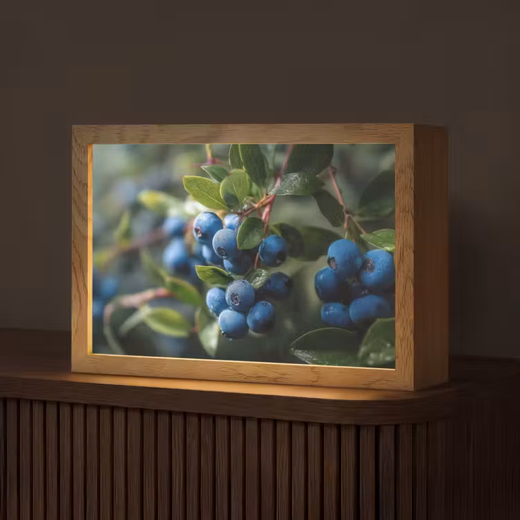 Blauwe bessen - Dauwdruppels - Natuurlijk licht Light Box met kabel (Tafellamp) klein -z3d_website