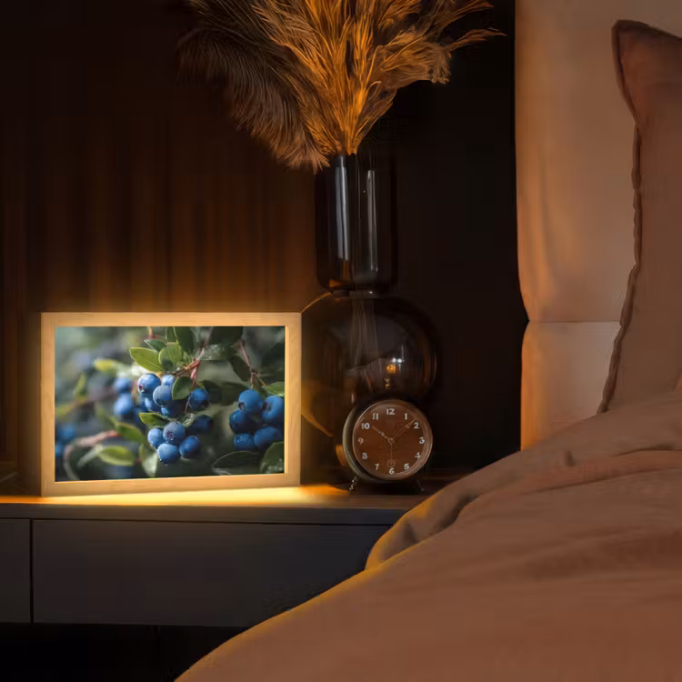 Blauwe bessen - Dauwdruppels - Natuurlijk licht Light Box met kabel (Tafellamp) klein -sfeer1