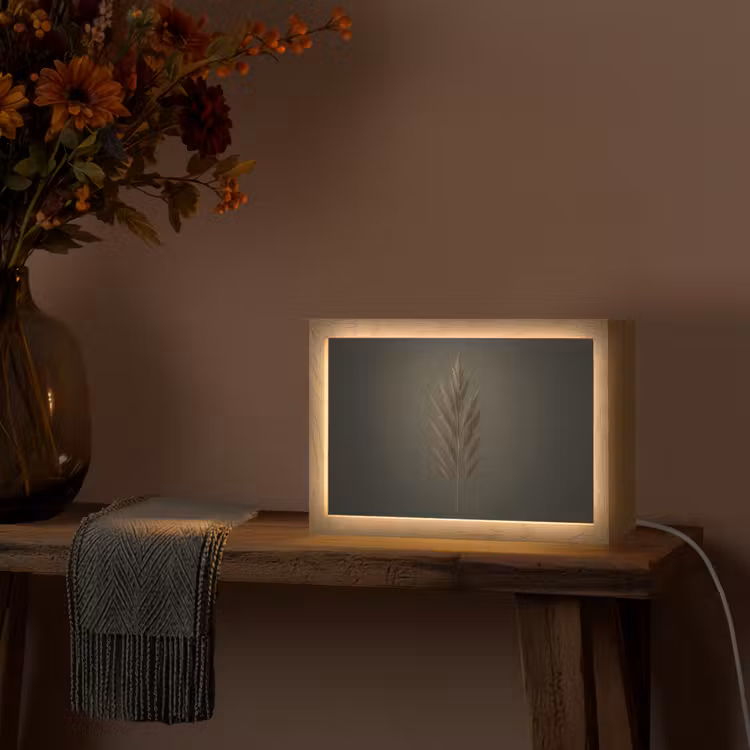 Tak - Pluimgras - Donkerbruin Light Box met kabel (Tafellamp) klein -sfeer4