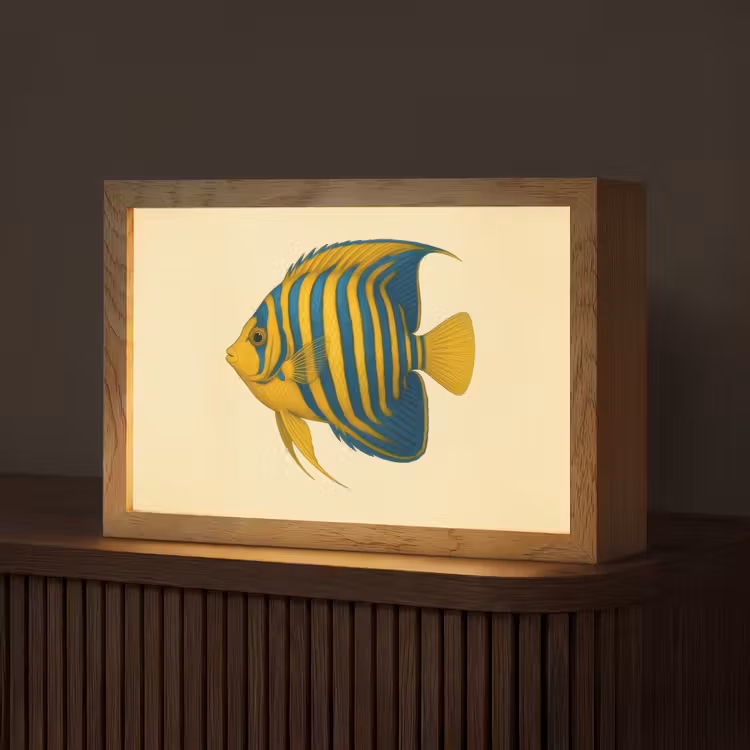 Felgeel - Vis - Strepen - Vinnen Light Box met kabel (Tafellamp) klein -z3d_website