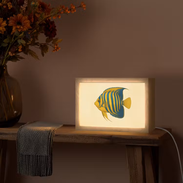 Felgeel - Vis - Strepen - Vinnen Light Box met kabel (Tafellamp) klein -sfeer4