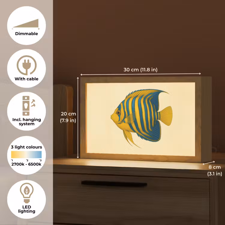 Felgeel - Vis - Strepen - Vinnen Light Box met kabel (Tafellamp) klein -USP_EN