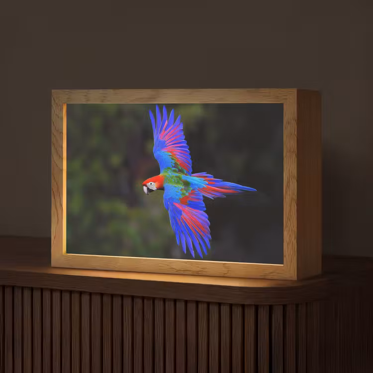Felgekleurd - Papegaai - Bos - Vleugels Light Box met kabel (Tafellamp) klein -z3d_website