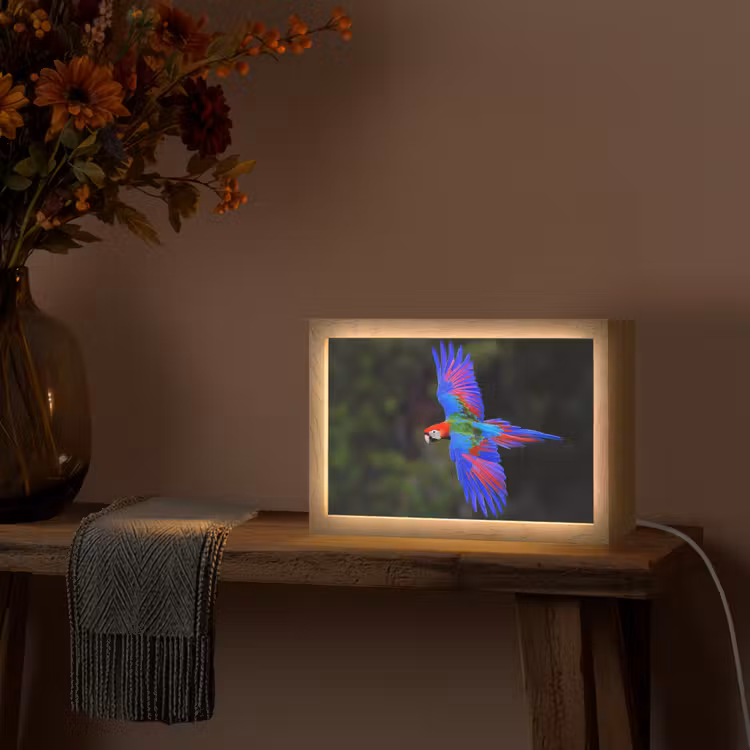 Felgekleurd - Papegaai - Bos - Vleugels Light Box met kabel (Tafellamp) klein -sfeer4