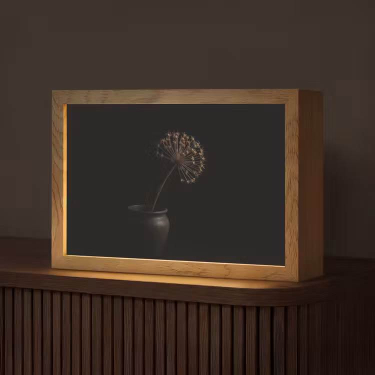 Bol - Gedroogd - Vaas - Zwart Light Box met kabel (Tafellamp) klein -z3d_website