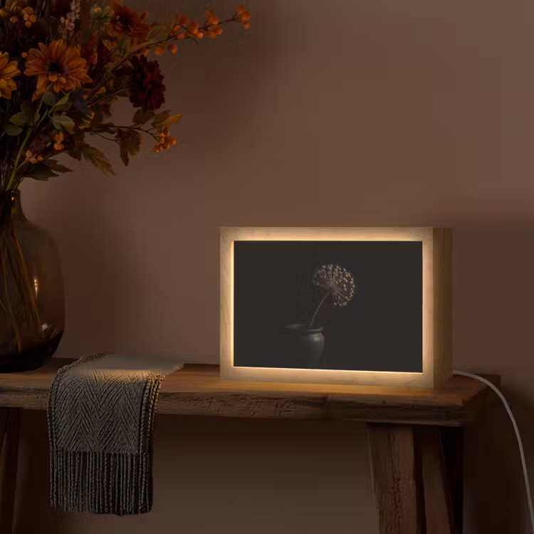Bol - Gedroogd - Vaas - Zwart Light Box met kabel (Tafellamp) klein -sfeer4
