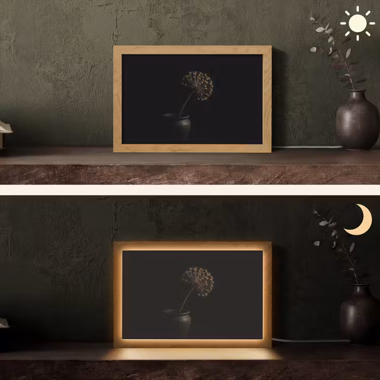 Bol - Gedroogd - Vaas - Zwart Light Box met kabel (Tafellamp) klein -sfeer3