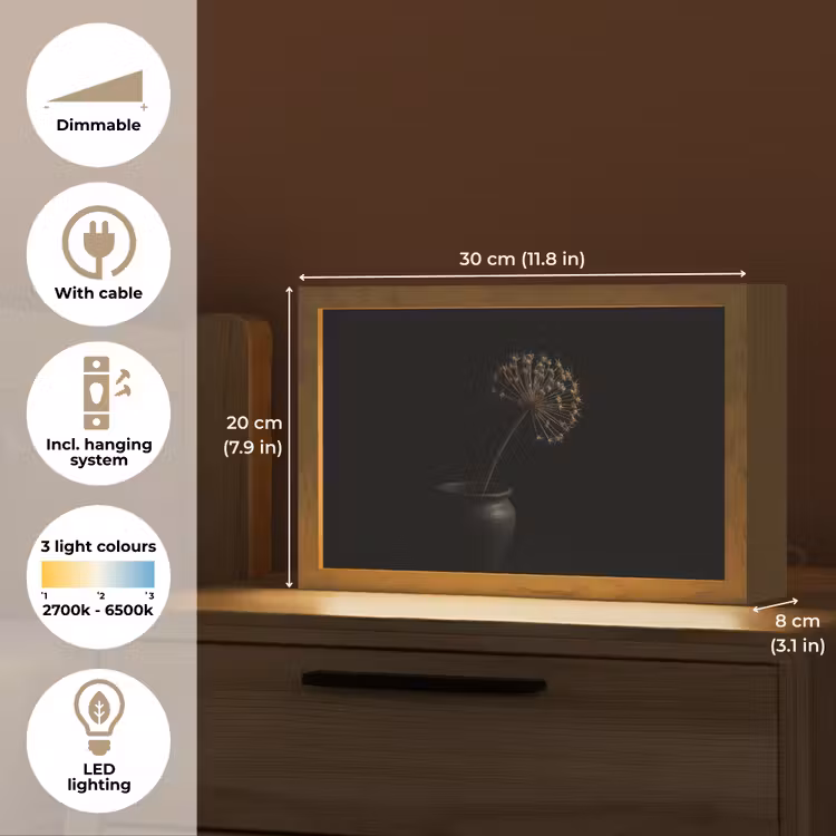 Bol - Gedroogd - Vaas - Zwart Light Box met kabel (Tafellamp) klein -USP_EN