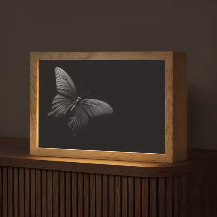 Vlinder - Zwart - Insect - Dieren Light Box met kabel (Tafellamp) klein -z3d_website
