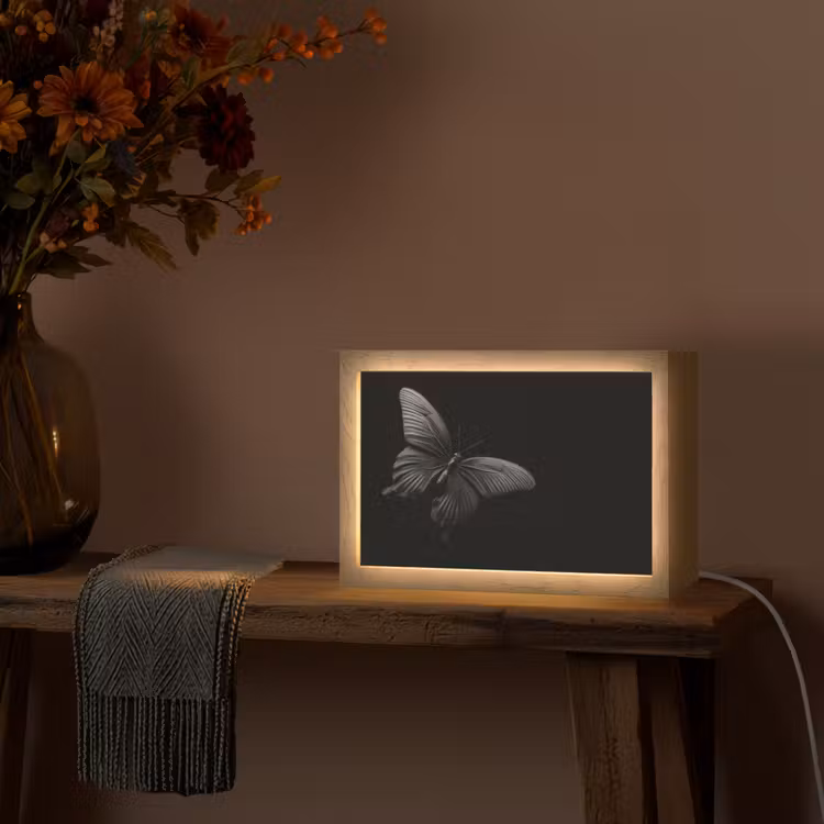 Vlinder - Zwart - Insect - Dieren Light Box met kabel (Tafellamp) klein -sfeer4