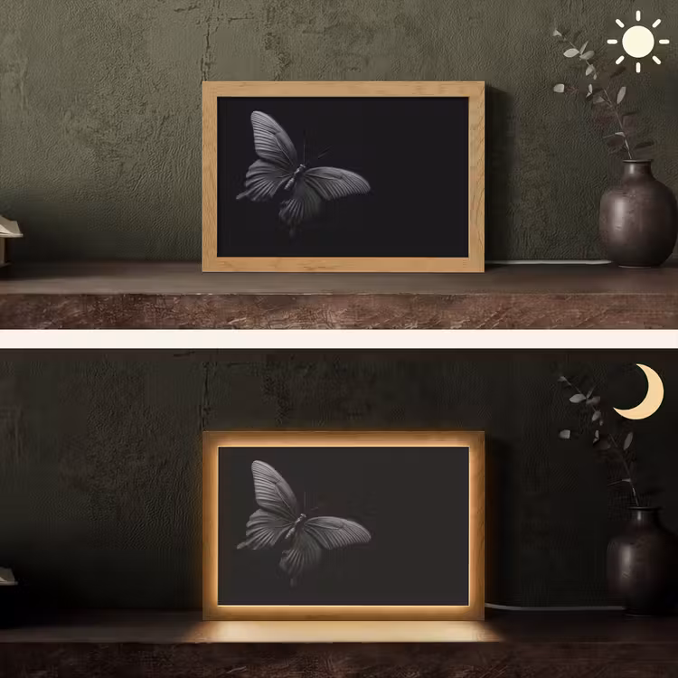 Vlinder - Zwart - Insect - Dieren Light Box met kabel (Tafellamp) klein -sfeer3