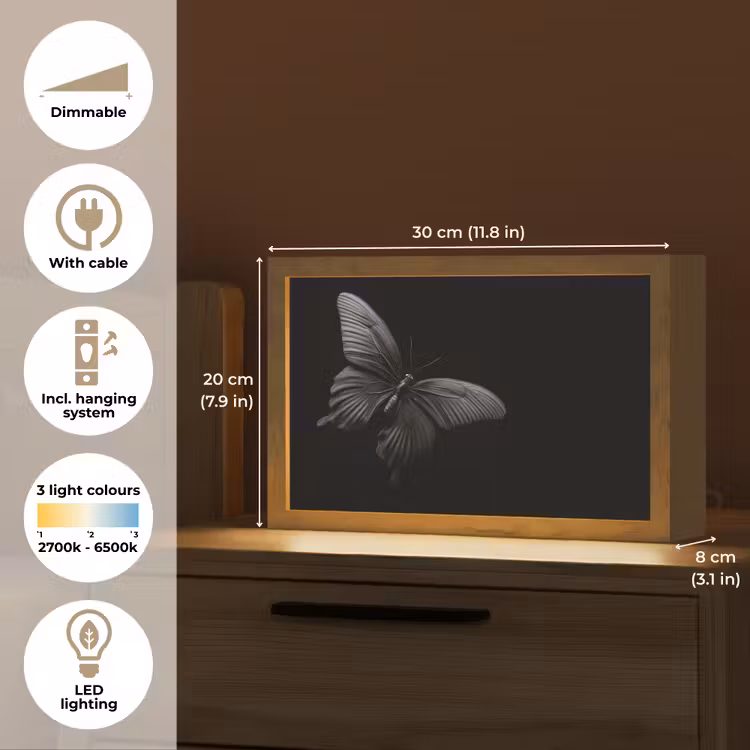Vlinder - Zwart - Insect - Dieren Light Box met kabel (Tafellamp) klein -USP_EN