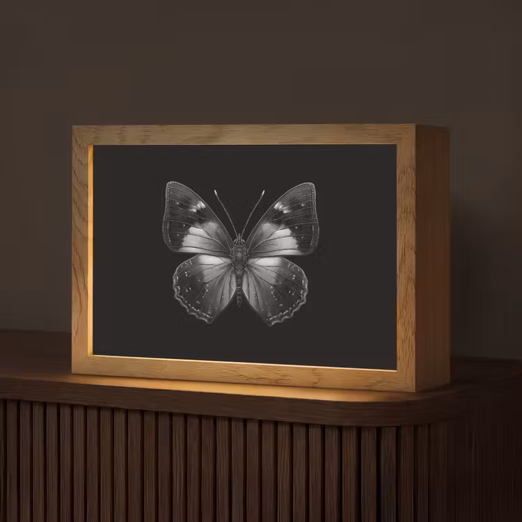 Vlinder - Grijs - Mysterieus Light Box met kabel (Tafellamp) klein -z3d_website