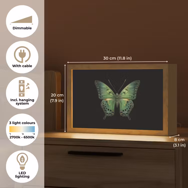 Vlinder - Groen - Diepte Light Box met kabel (Tafellamp) klein -USP_EN