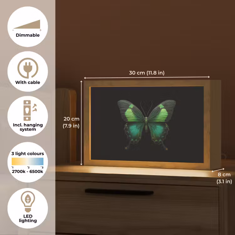 Vlinder - Groen - Opvallend Light Box met kabel (Tafellamp) klein -USP_EN