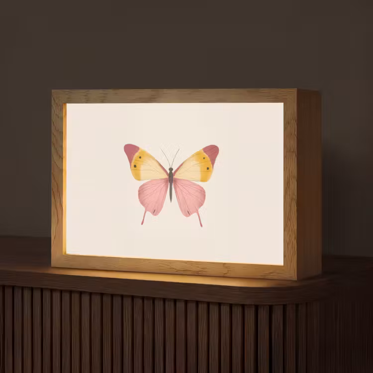 Vlinder - Illustratie - Roze Light Box met kabel (Tafellamp) klein -z3d_website