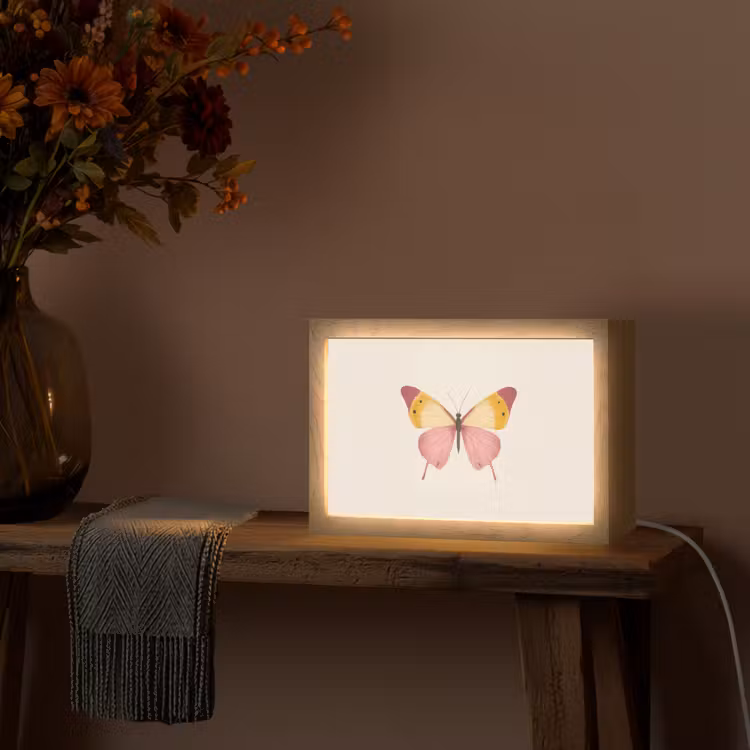 Vlinder - Illustratie - Roze Light Box met kabel (Tafellamp) klein -sfeer4