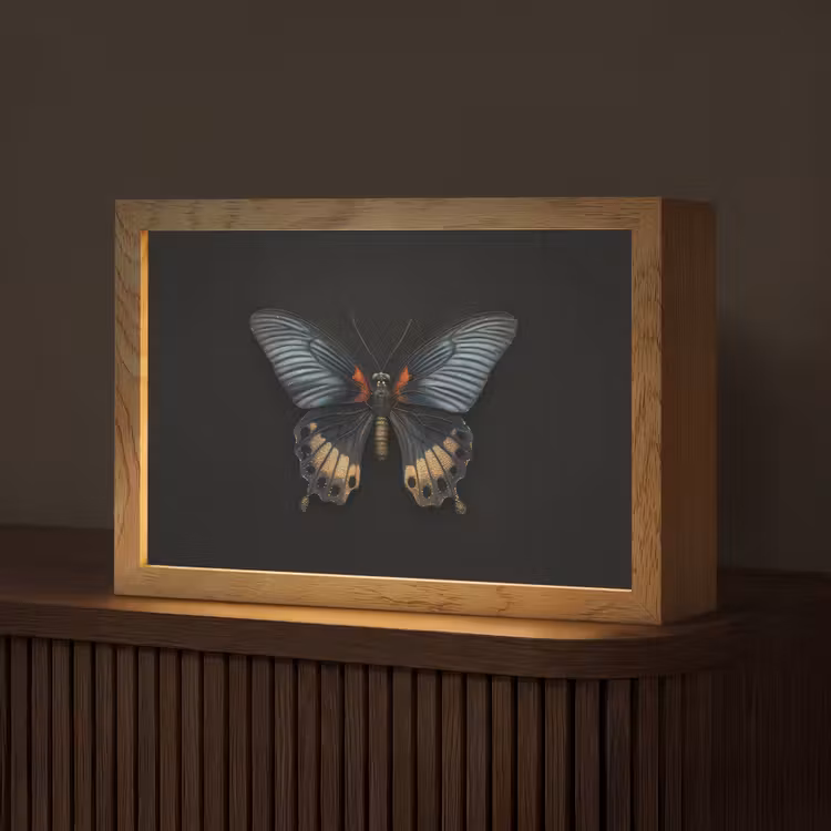 Vlinder - Metaalachtig - Geometrisch patroon Light Box met kabel (Tafellamp) klein -z3d_website