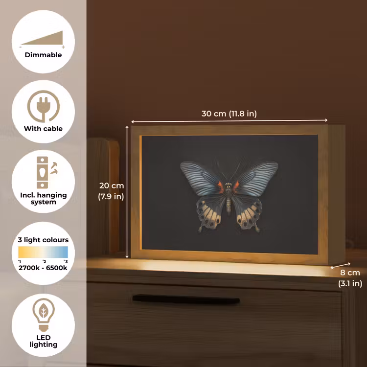 Vlinder - Metaalachtig - Geometrisch patroon Light Box met kabel (Tafellamp) klein -USP_EN
