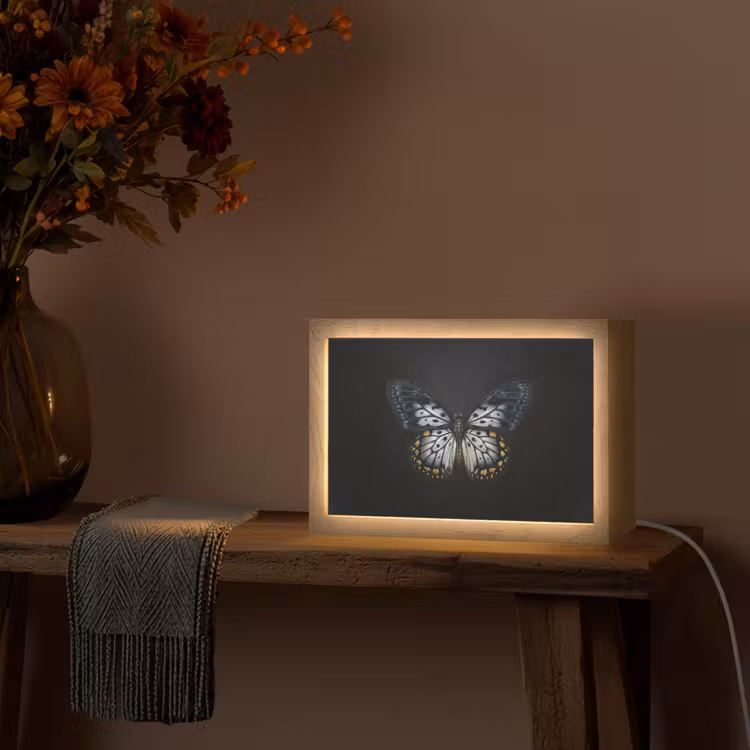 Vlinder - Monochroom - Balans Light Box met kabel (Tafellamp) klein -sfeer4