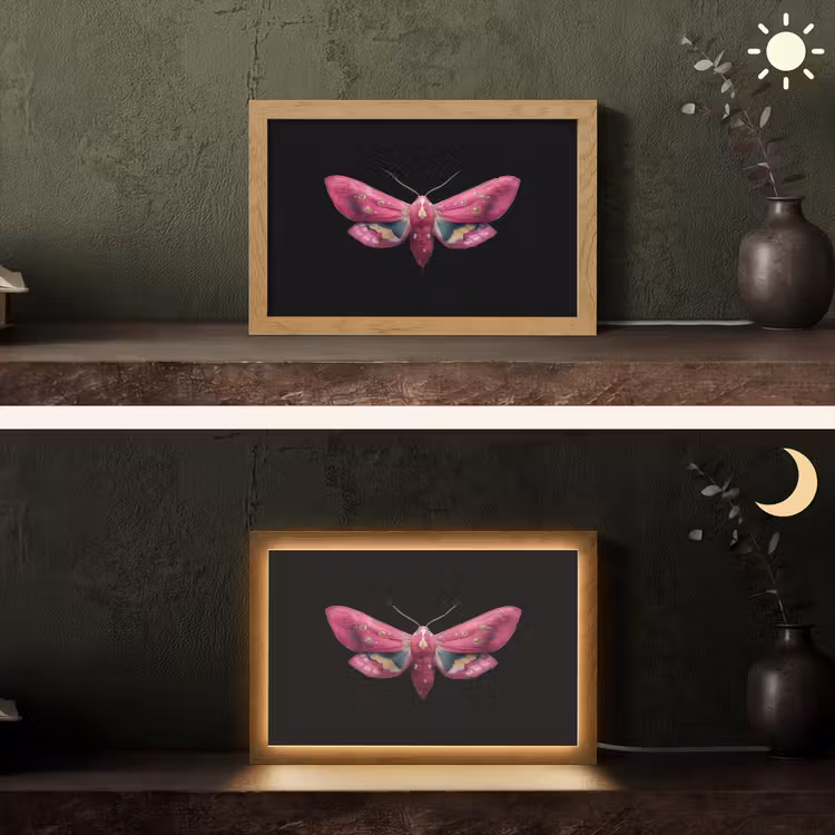 Vlinder - Roze - Nachtvlinder Light Box met kabel (Tafellamp) klein -sfeer3