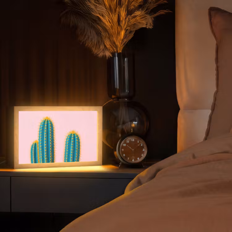 Cactussen - Modern - Pastel Light Box met kabel (Tafellamp) klein -sfeer1