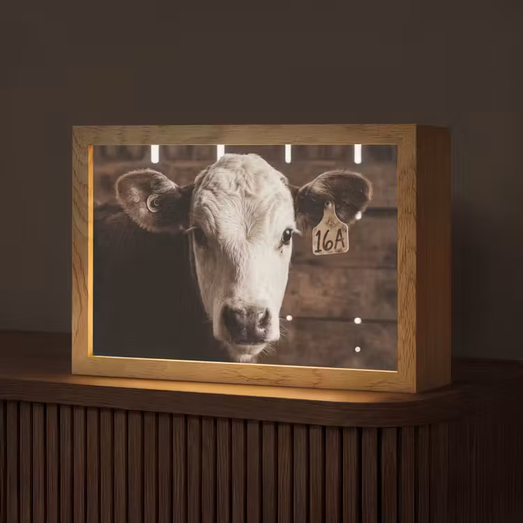 Kalf - Oormerk - Houten stal Light Box met kabel (Tafellamp) klein -z3d_website