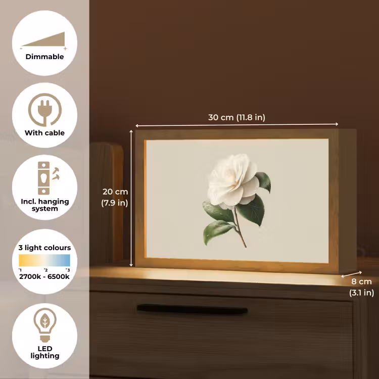 Cameliabloem - Wit - Groen Light Box met kabel (Tafellamp) klein -USP_EN