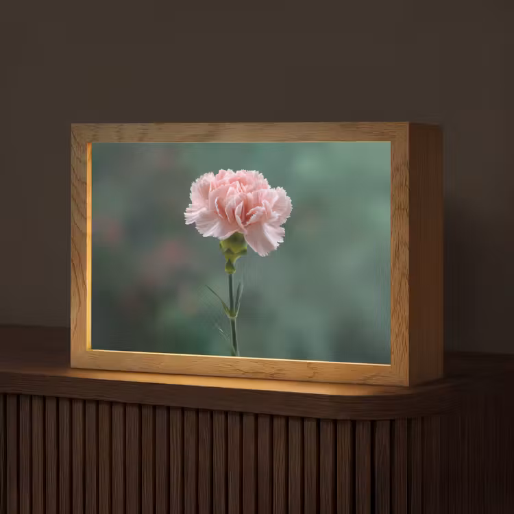 Anjer - Roze - Bloemblaadjes Light Box met kabel (Tafellamp) klein -z3d_website