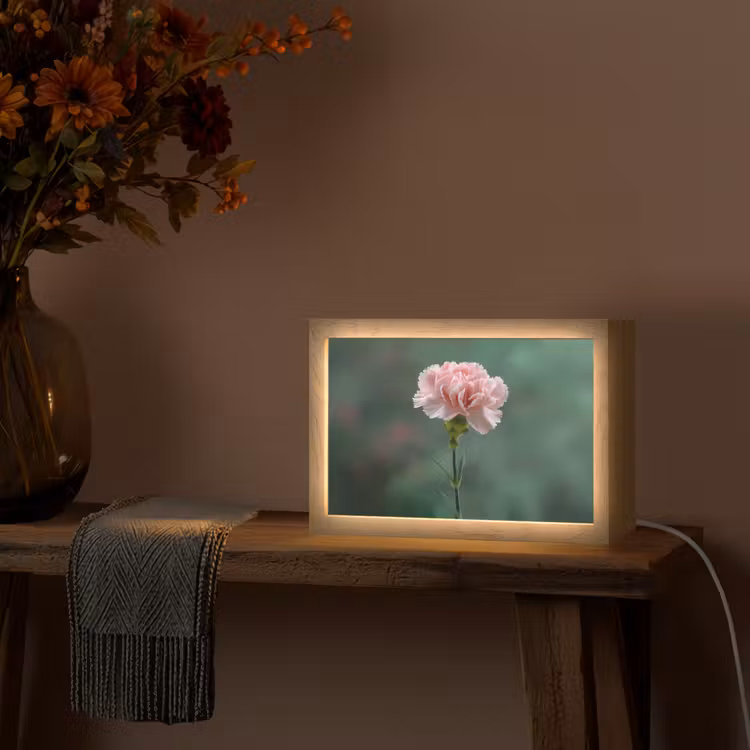 Anjer - Roze - Bloemblaadjes Light Box met kabel (Tafellamp) klein -sfeer4