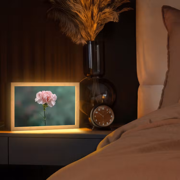 Anjer - Roze - Bloemblaadjes Light Box met kabel (Tafellamp) klein -sfeer1