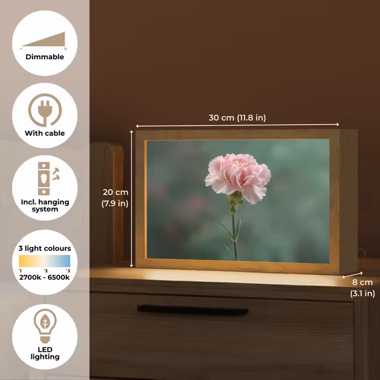 Anjer - Roze - Bloemblaadjes Light Box met kabel (Tafellamp) klein -USP_EN